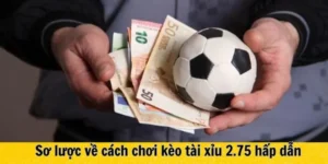 Giải Mã Kèo 2.75 Và Nghệ Thuật Phân Tích Tổng Số Bàn Thắng Chuyên Sâu