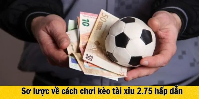 Giải Mã Kèo 2.75 Và Nghệ Thuật Phân Tích Tổng Số Bàn Thắng Chuyên Sâu