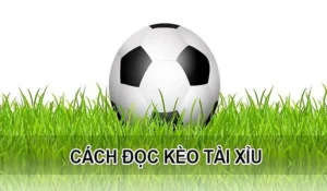 Chiến Thuật Đầu Tư Kèo Tài Xỉu Hiệu Quả Dựa Trên Phân Tích Dữ Liệu