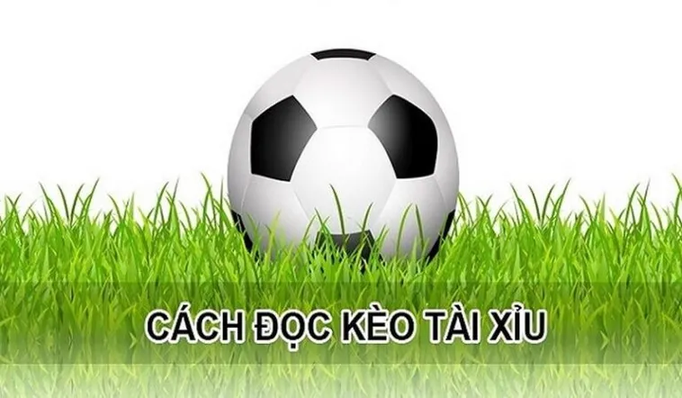 Chiến Thuật Đầu Tư Kèo Tài Xỉu Hiệp Một Mang Lại Tỷ Lệ Thắng Cao Nhất