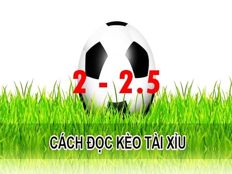 Chinh Phục Thị Trường Đầu Tư Với Kèo 2.25 Trong Các Trận Cầu Đỉnh Cao