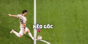 Chiến Thuật Đầu Tư Kèo Phạt Góc Bóng Đá Dành Cho Người Chuyên Nghiệp